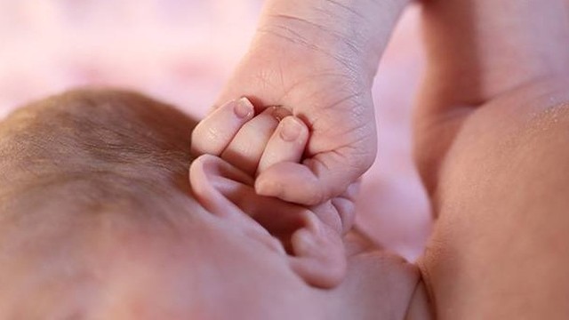 bai-viet/benh-cham-tai-la-benh-gi-nguyen-nhan-trieu-chung-va-cach-dieu-tri-57653.html