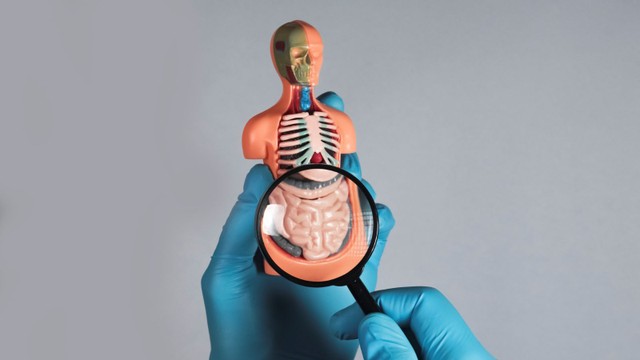 bai-viet/benh-crohn-la-benh-gi-nguyen-nhan-gay-benh-va-cach-dieu-tri-hien-nay-58102.html