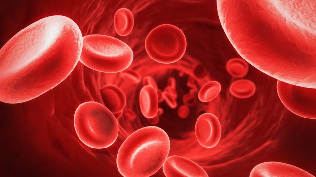 bai-viet/benh-hong-cau-nho-bam-sinh-nguyen-nhan-dau-hieu-va-che-do-dinh-duong.html