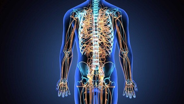 bai-viet/dau-don-day-than-kinh-nguyen-nhan-trieu-chung-va-cach-dieu-tri.html