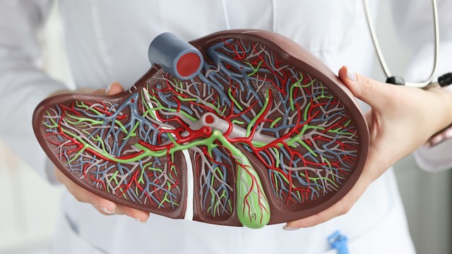 bai-viet/benh-nao-gan-la-gi-qua-trinh-tien-trien-cua-benh-nao-gan.html