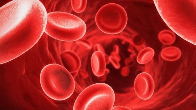 bai-viet/benh-nhiem-trung-mau-giai-doan-cuoi-nguy-hiem-nhu-the-nao.html