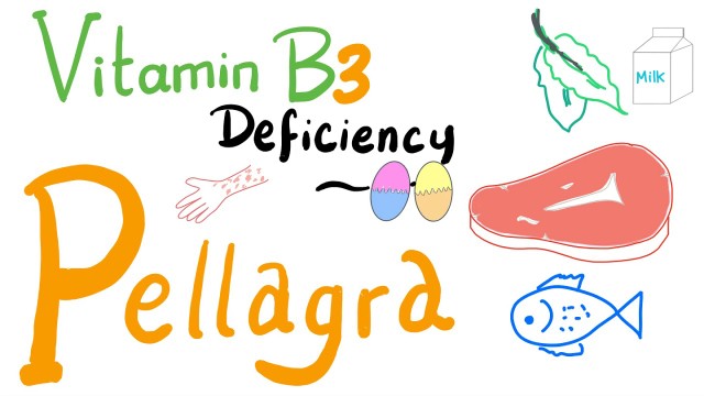 benh/benh-pellagra.html