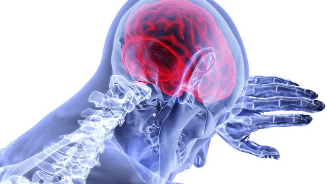 bai-viet/benh-roi-loan-than-kinh-thuc-vat-co-che-benh-trieu-chung-va-cac-phuong-phap-dieu-tri.html