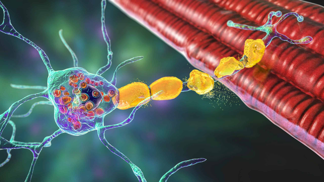 benh/benh-tay-sachs.html