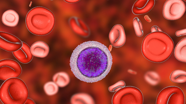 bai-viet/benh-thalassemia-di-hop-tu-la-gi-anh-huong-the-nao-den-suc-khoe.html