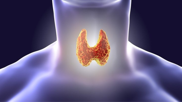 bai-viet/benh-tuyen-giap-la-gi-nguyen-nhan-dau-hieu-va-bien-chung-thuong-gap.html