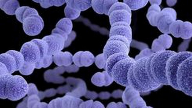 bai-viet/benh-van-tim-hau-thap-co-nhung-bieu-hien-gi-va-phong-ngua-nhu-the-nao.html