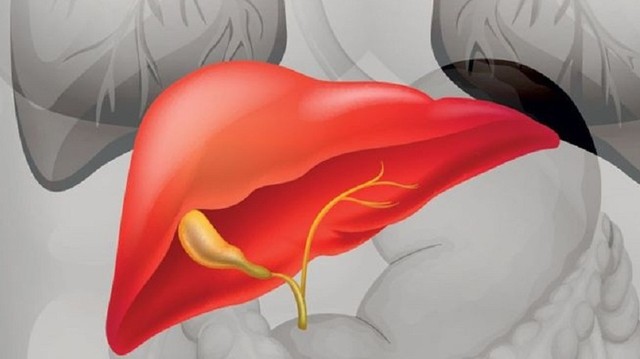 bai-viet/benh-viem-gan-co-nguy-hiem-khong-cac-bien-chung-thuong-gap-cua-viem-gan.html