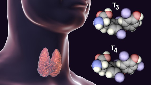 bai-viet/benh-viem-tuyen-giap-co-anh-huong-den-sinh-san-cua-nam-gioi-va-nu-gioi-khong.html