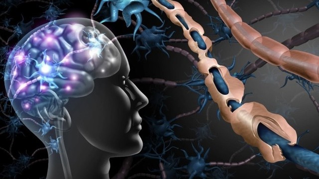 bai-viet/benh-xo-cung-rai-rac-va-nao-bo-cua-ban.html