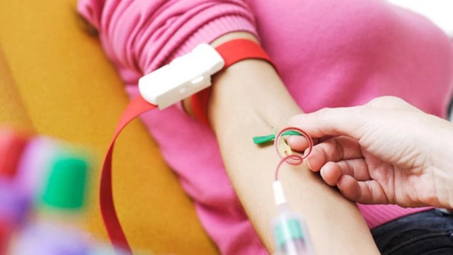 bai-viet/bi-ha-kali-mau-nen-an-gi-de-tang-nong-do-kali-tro-lai.html