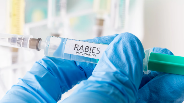 bai-viet/bi-khi-cao-co-can-tiem-vac-xin-dai-khong.html