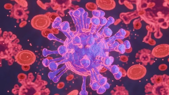 bai-viet/bi-nhiem-hpv-bao-lau-thi-bi-ung-thu-cach-phong-ngua-benh.html