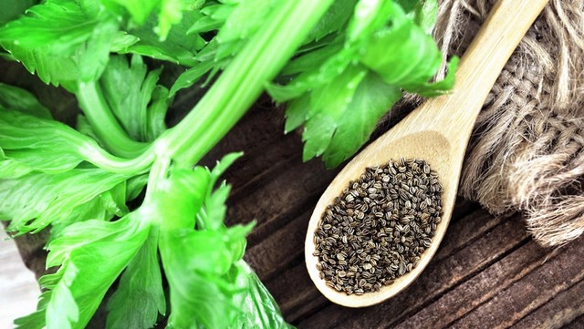 bai-viet/bi-quyet-giam-acid-uric-tranh-xa-benh-gout-bang-hat-can-tay-64130.html