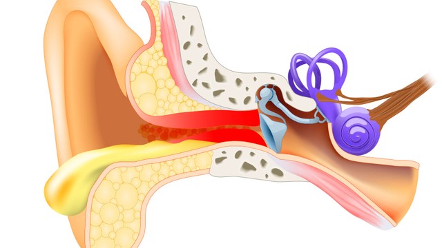 bai-viet/bi-viem-tai-giua-co-mu-can-kieng-an-gi-60022.html