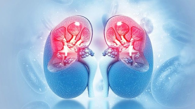 bai-viet/cac-xet-nghiem-chan-doan-viem-cau-than-hien-nay.html