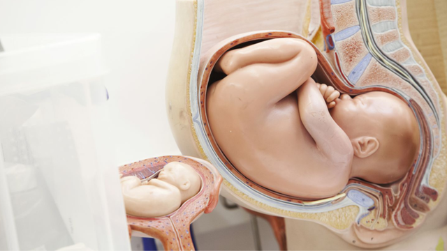 bai-viet/bieu-do-chuyen-da-la-gi-nhung-yeu-to-trong-bieu-do-chuyen-da.html