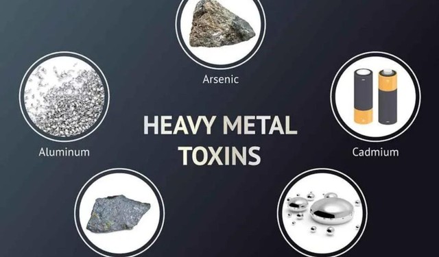 bai-viet/bieu-hien-ngo-doc-kim-loai-nang-nen-va-khong-nen-an-gi-khi-nhiem-doc-56166.html