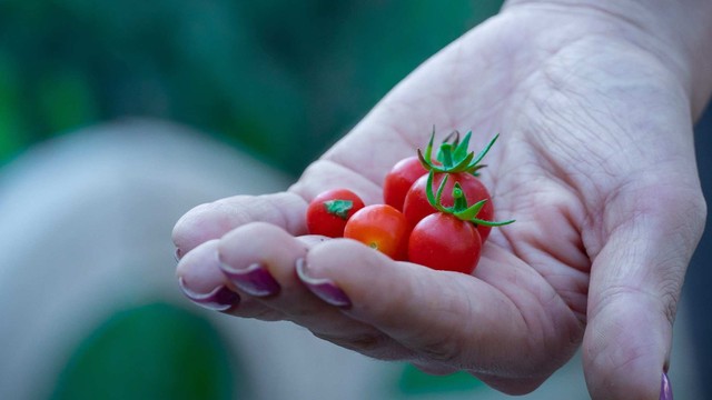 bai-viet/ca-chua-bi-bi-quyet-cho-lan-da-tuoi-tre-trai-tim-khoe-manh.html