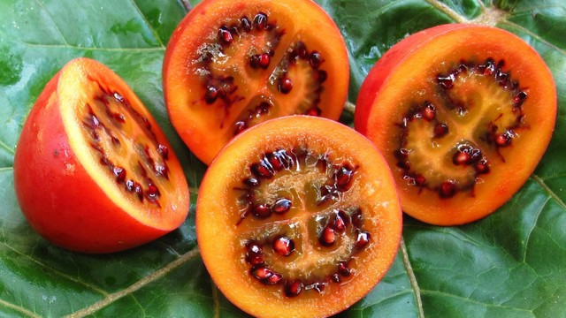 bai-viet/ca-chua-than-go-co-cong-dung-gi-doi-voi-suc-khoe.html