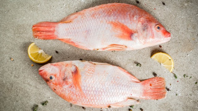 bai-viet/ca-dieu-hong-dac-diem-gia-tri-dinh-duong-va-mot-so-mon-an-ngon-de-nau-73138.html