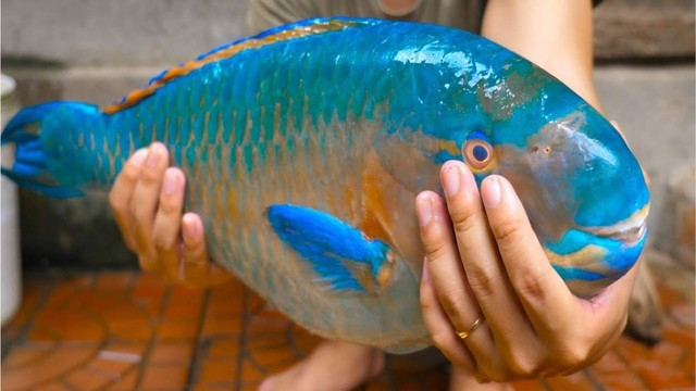 bai-viet/kham-pha-gia-tri-dinh-duong-va-cach-dung-ca-mo-de-tang-cuong-suc-khoe.html