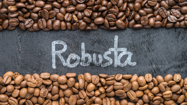 bai-viet/ca-phe-robusta-la-gi-nhung-loi-ich-khi-uong-ca-phe-robusta.html