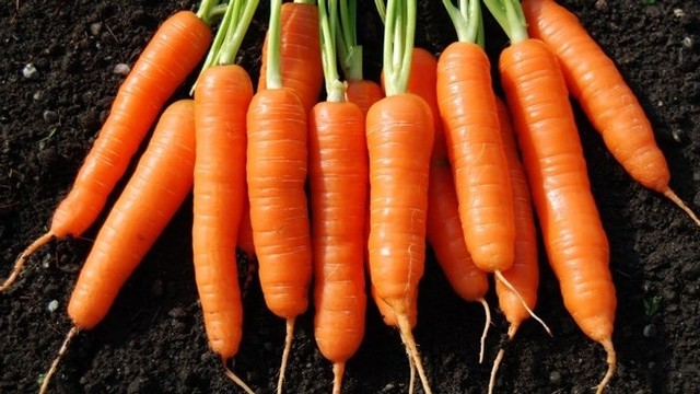 bai-viet/ca-rot-an-song-duoc-khong-can-luu-y-gi-khi-an.html