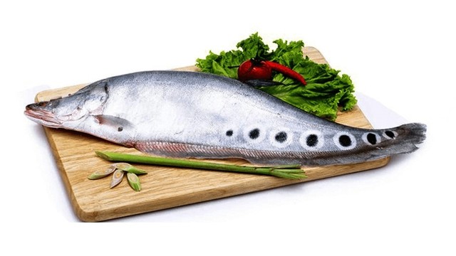 bai-viet/ca-thac-lac-co-tac-dung-gi-gia-tri-dinh-duong-ra-sao.html