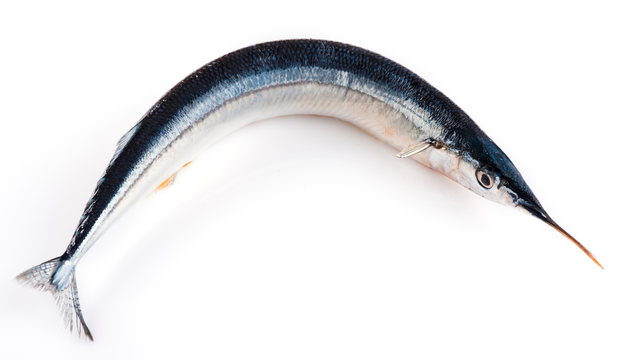 bai-viet/ca-xuong-xanh-an-co-ngon-va-giau-dinh-duong-khong.html