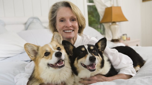 bai-viet/cac-benh-ky-sinh-trung-o-vat-nuoi-co-che-lay-nhiem-va-cach-phong-ngua.html