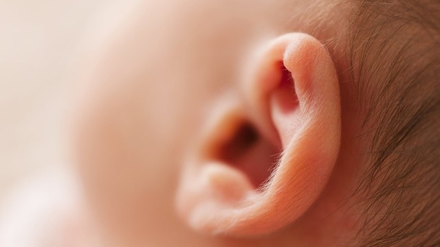 bai-viet/cac-dang-khiem-thinh-thuong-gap-va-dac-diem-cua-tung-loai-khiem-thinh-ma-ban-nen-biet.html