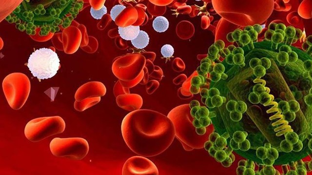 bai-viet/cac-giai-doan-cua-nhiem-khuan-huyet-nguy-co-dau-hieu-va-phuong-phap-dieu-tri.html