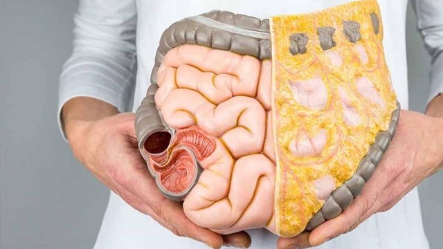 bai-viet/cac-loai-benh-duong-ruot-mua-he-ban-can-chu-y.html