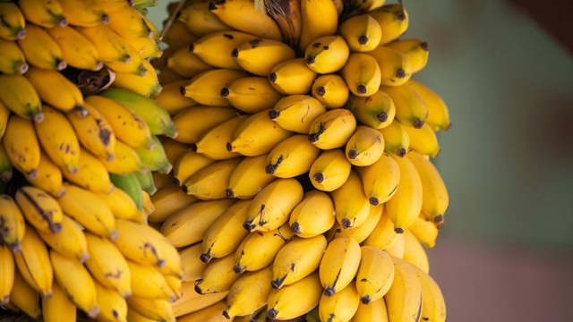 bai-viet/cac-loai-chuoi-o-viet-nam-va-loi-ich-suc-khoe-khien-nhieu-nguoi-bat-ngo.html