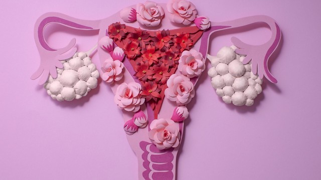 bai-viet/cac-nguyen-nhan-da-nang-buong-trung-hieu-ro-de-phong-ngua.html