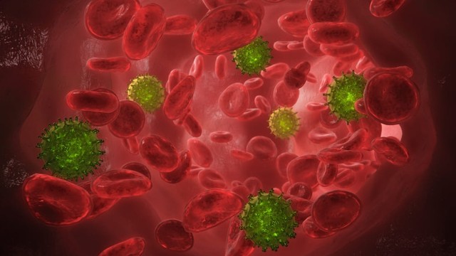 bai-viet/cac-nguyen-nhan-nhiem-trung-mau.html