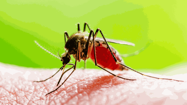 bai-viet/cac-nha-nghien-cuu-su-dung-muoi-giao-phoi-de-phat-tan-nam-chong-sot-ret.html