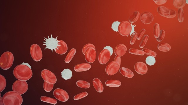 bai-viet/cac-xet-nghiem-chan-doan-nhiem-khuan-huyet.html