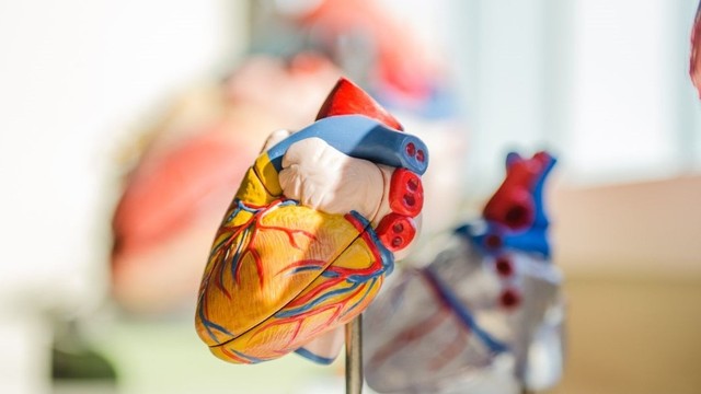 bai-viet/cac-yeu-to-thuc-day-suy-tim-va-cac-bien-phap-phong-ngua-suy-tim.html