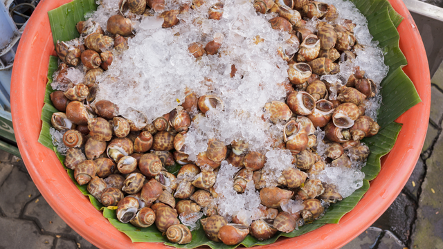 bai-viet/cach-bao-quan-oc-huong-tuoi-ngon-duoc-lau.html