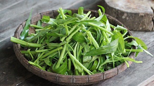 bai-viet/cach-bao-quan-rau-muong-khi-khong-co-tu-lanh-va-loi-ich-suc-khoe-tu-rau-muong.html