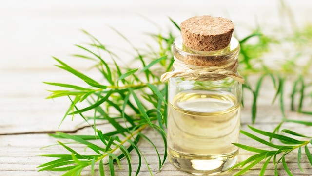 bai-viet/ban-da-biet-cach-boi-dau-tram-cho-tre-so-sinh.html