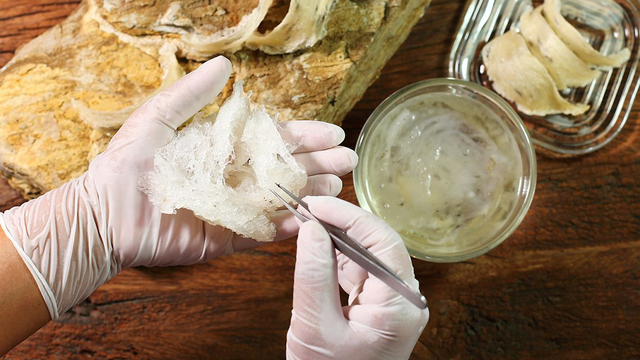 bai-viet/cach-che-bien-yen-sao-dam-bao-giu-nguyen-cac-chat-dinh-duong.html