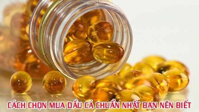 bai-viet/cach-chon-mua-dau-ca-chuan-nhat-moi-nguoi-nen-ghi-nho-59436.html