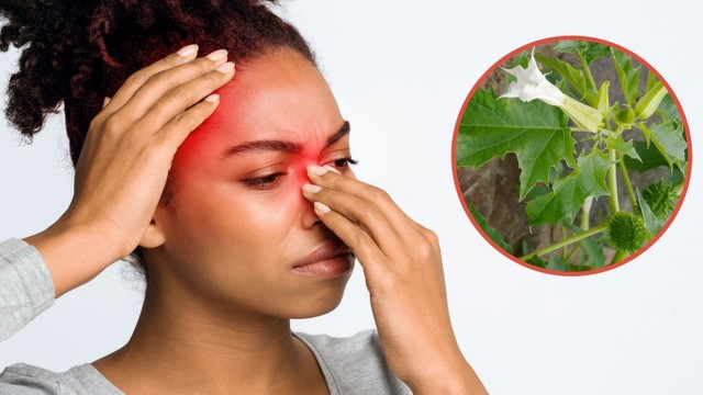 bai-viet/cach-chua-viem-xoang-bang-ca-doc-duoc-nen-hay-khong.html