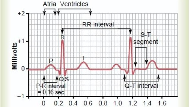 bai-viet/cach-doc-dien-tam-do-va-mot-so-dieu-can-biet-ve-dien-tam-do.html