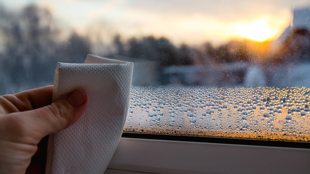 bai-viet/cach-hut-am-trong-phong-kin-giup-loai-bo-mui-am-moc-tai-nha.html