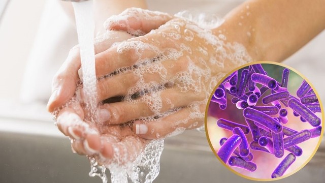 bai-viet/cach-phong-chong-trung-kiet-li-hieu-qua-cho-ca-nha.html